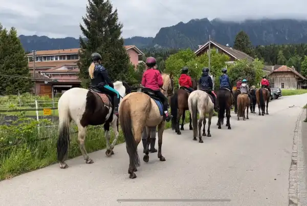 Herzensprojekt Reitschule