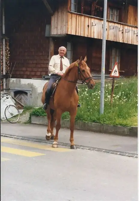 Herzensprojekt Reitschule