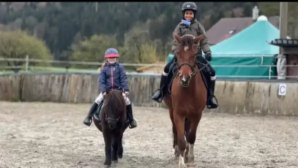 Herzensprojekt Reitschule