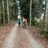 Herzensprojekt Reitschule