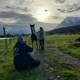 Herzensprojekt Reitschule