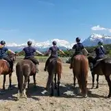 Herzensprojekt Reitschule