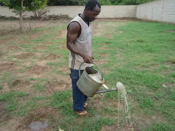 L'ouvrier agricole