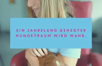 Ein Hundetraum wird wahr