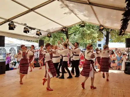 Dance group Golubka