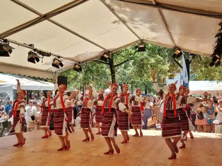 Dance group Golubka