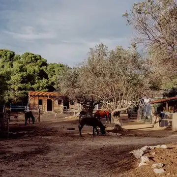 Aidez à soutenir la ferme