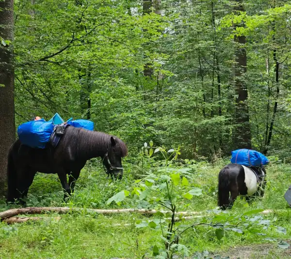 Auf Wanderschaft, ZH-GR