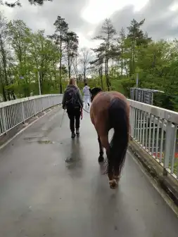 Auf Wanderschaft, ZH-GR