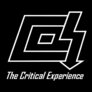 The Critical Experience