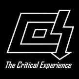 The Critical Experience