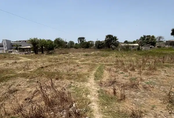 Soutien au Senegal