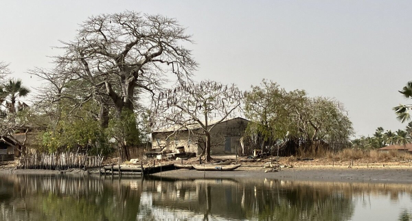 Soutien au Senegal