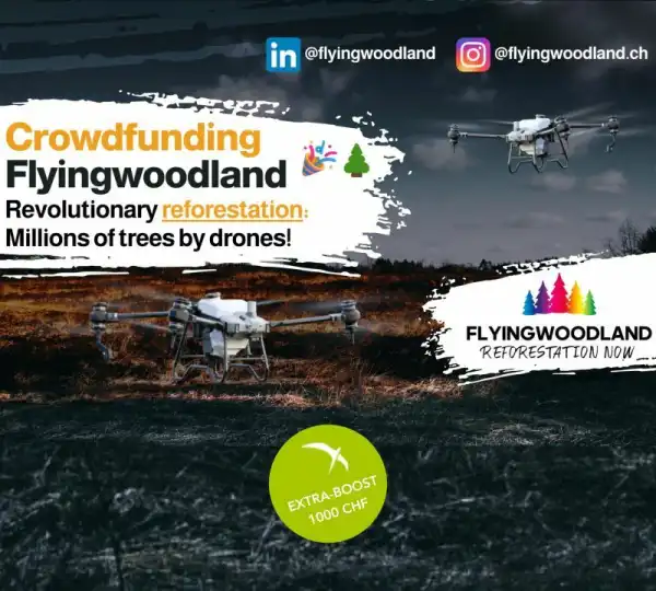 🌲💚 Flyingwoodland Crowdfunding extra Booster! 🎉🌲