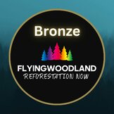 Flyingwoodland 💚🌲