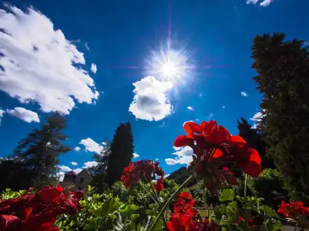 Kinderkrippe Blumenhimmel