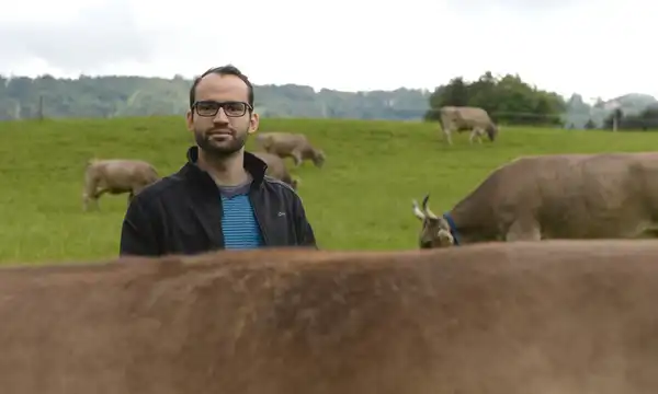 Ein halbes Milchhüsli steht und Stadtmilch im Tagi