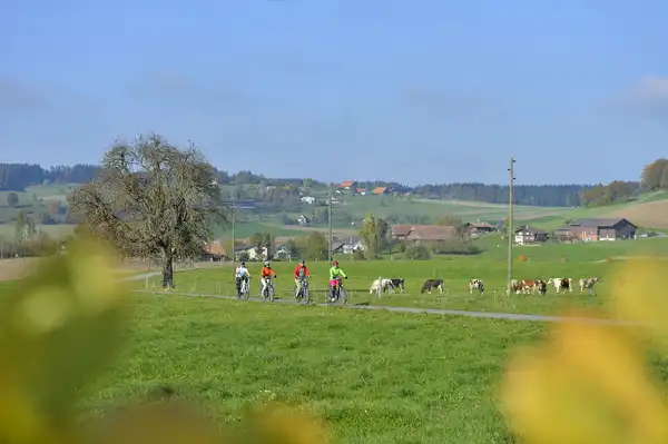 Herzschlaufe Seetal