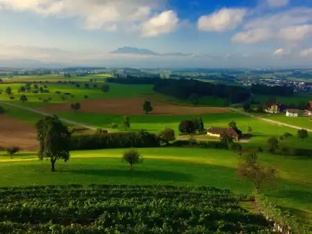 Herzschlaufe Seetal