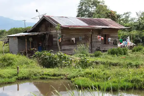 Orang Utan Coffee Projekt