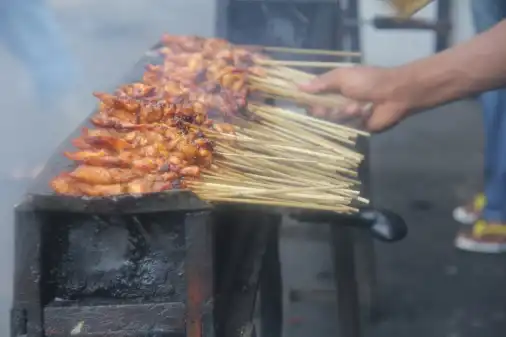 MR SATAY