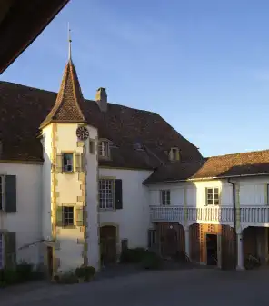 Renovation Château