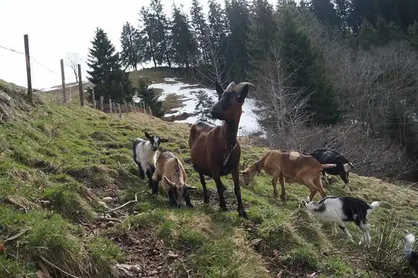 Wir haben es geschafft!!