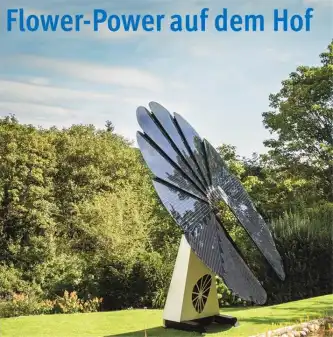 Flower-Power auf dem Hof