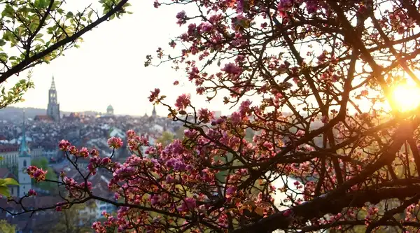 Mit dem Frühling kommt die Hochsaison!