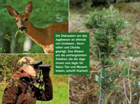 Roadshow «Tierwelt»