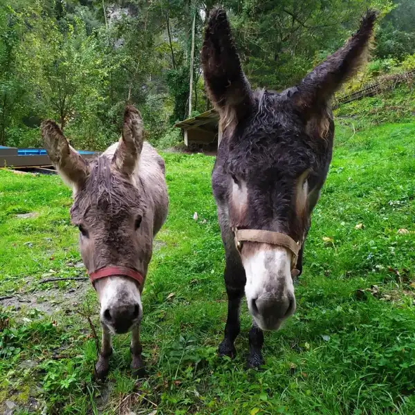 Im Regen stehen