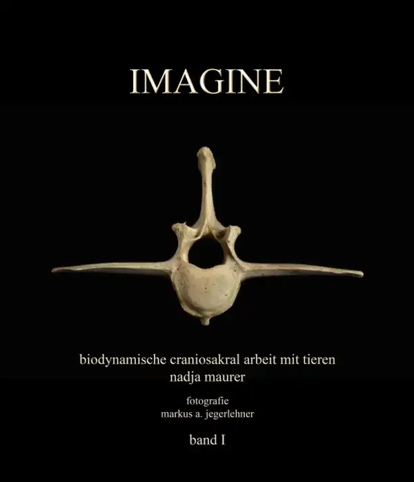 IMAGINE - stell dir vor…