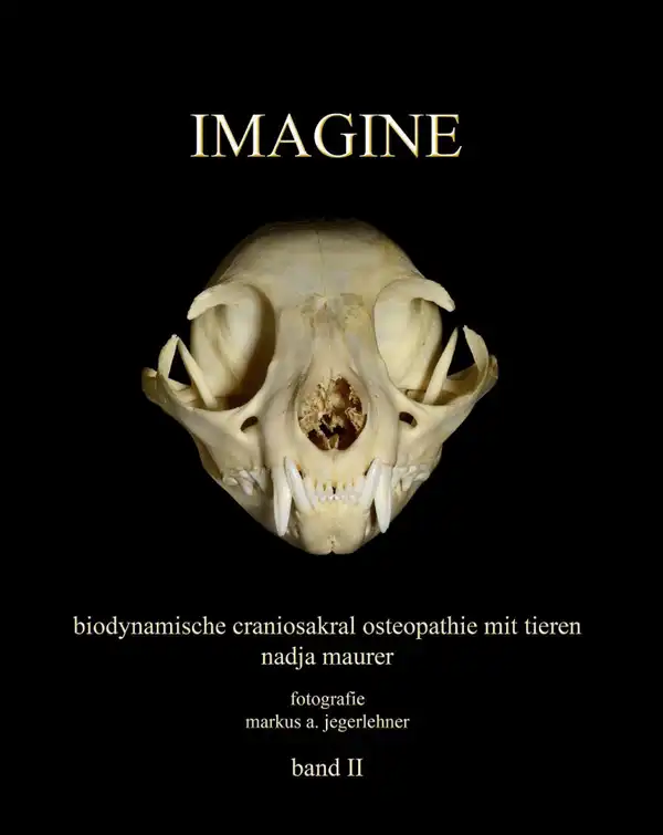 IMAGINE - stell dir vor…