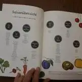 Veganes Kochbuch