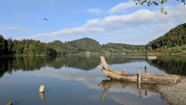 Türlersee