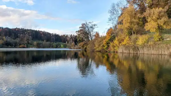 Herzklopfen für den Türlersee - noch CHF 1'080.- fehlen bis zum Ziel...