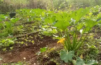 Ferme agro-écologique