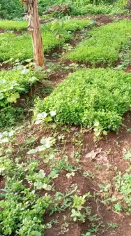 Ferme agro-écologique