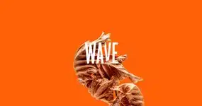 Neue Single WAVE - Albumankündigung und Tourdaten