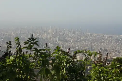 Free Supermarket Beirut