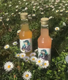 Mimmis Kombucha Brauerei