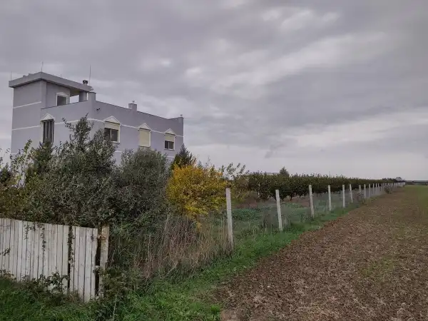 Animal shelter in Albania