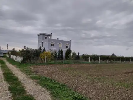 Animal shelter in Albania